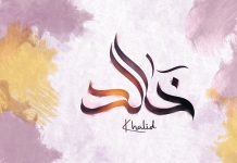 Personalitete udhëheqëse të suksesshme : HALIDI, I BIRI I VELIDIT, r.a.