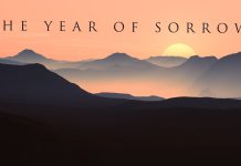 VITI I DËSHPËRIMIT